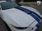 Thumbnail Photo 27 for 2017 Ford Mustang Shelby GT350